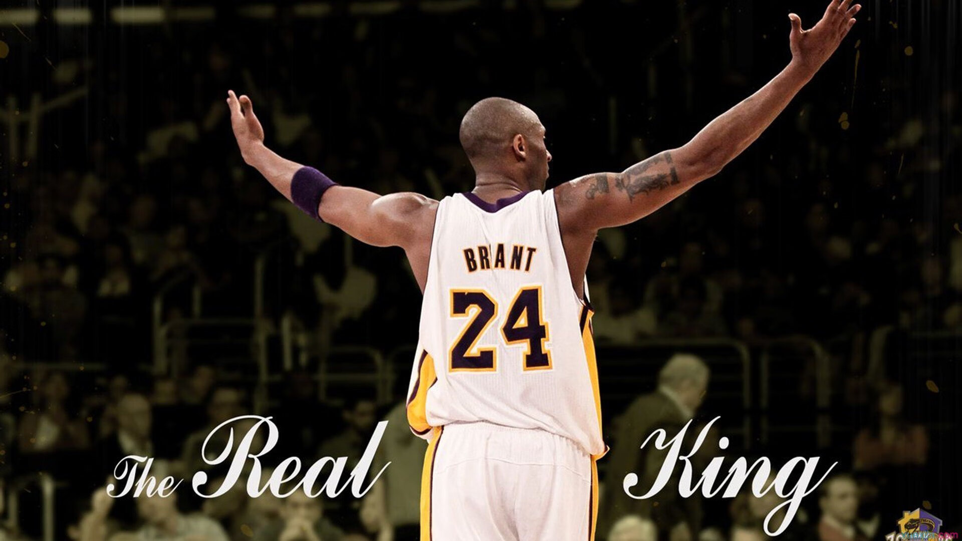 青少年体育锻炼动机及影响因素分析，影响青少年体育锻炼的因素